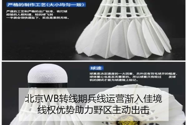 bei-jing-zhuan-xian-qi-bing-xian-yun-ying-jian-ru-jia-jing-xian-quan-you-shi-zhu-li-ye-qu-zhu-dong-chu-ji-2-725.jpg
